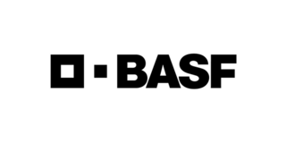 basf software development synapsis basf software development synapsis